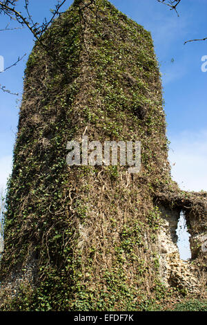 Old Church overgrown in Ivy Stock Photo