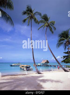 Pigeon Point, Tobago, Trinidad and Tobago, Lesser Antilles, Caribbean Stock Photo