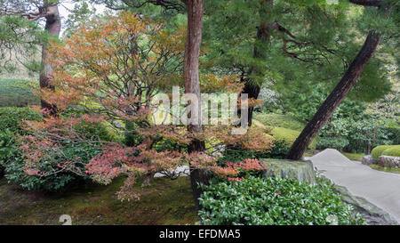 Meigetsu-in Rinzai Zen temple garden, fall leaves and sand Mount Fuji, Kamakura, Japan Stock Photo