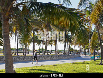 South Beach, Miami, Florida. People running and walking along the boardwalk in Lummus park, parallel with Ocean Drive.