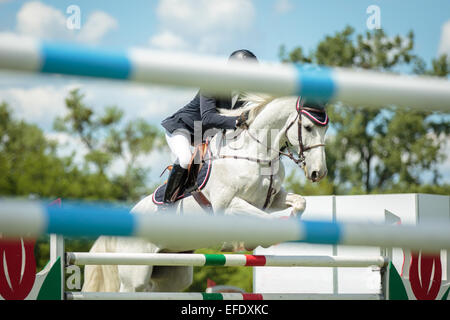 A rider on a sports horse jumping over an obstacle in equestrian competition Stock Photo