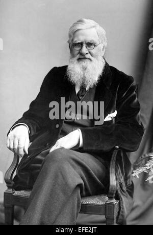 Alfred Russel Wallace, British naturalist, explorer, geographer, anthropologist, and biologist. Stock Photo