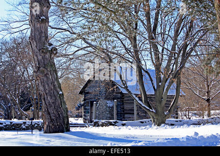 Log cabin surrounded by trees on a sunny cold snow covered day Stock Photo