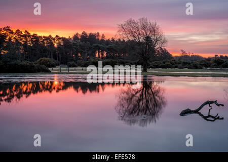 New Forest Sunset Janesmoor Pond Stock Photo