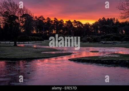 New Forest Sunset Janesmoor Pond Stock Photo