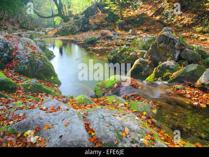 beautiful river in autumn forest Stock Photo