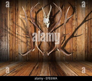 abstract view of hunting trophies on wooden finished room Stock Photo