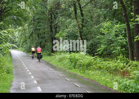 Two cyclists cycling through a green European forest. Stock Photo