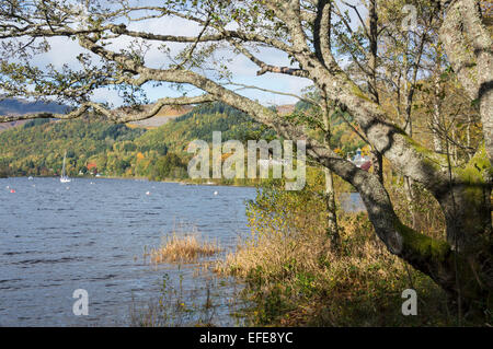 Autumn landscape colours, St. Fillans, Loch Earn, Perthshire, Scotland, UK Stock Photo