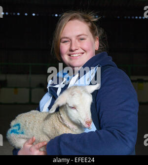 Blackpool, Lancashire, UK. 2nd February, 2015. Abi Harris, 18 with a two day old, British Milk winter born lamb, orphan at Parr’s Farm. The new born lambs at Farmer Parr’s Animal World are christened Keith and Colin. They were adopted from a local sheep farmer who had 2 orphan lambs, a just-born triplet that required bottle feeding. The farm park in Fleetwood sometimes takes in ‘pet’ lambs at this time of year so that visiting children can help to feed them.  Credit:  Mar Photographics/Alamy Live News Stock Photo