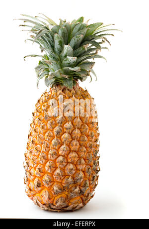 whole pineapple fruit isolated on white background Stock Photo