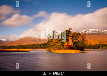 Island with pine trees in Loch Tulla, Blackmount Stock Photo