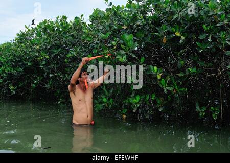 Monitoring Frigate bird  ' Isla de los Pajaros ' -  PUERTO PIZARRO. Department of Tumbes .PERU Stock Photo