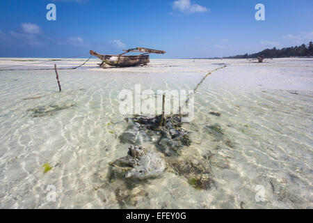 Dhow wooden boat lying dry at low tide on a beach at the Indian Ocean Stock Photo