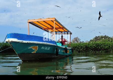 Monitoring Frigate bird  ' Isla de los Pajaros ' -  PUERTO PIZARRO. Department of Tumbes .PERU Stock Photo