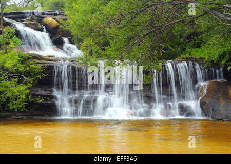 Waterfalls and rapids on Jamison Creek at Wentworth Falls in the Blue Mountains, NSW, Australia. Stock Photo