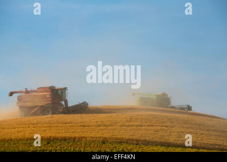 Combines harvesting grain during August in the golden fields of the Palouse region of Washington. USA Stock Photo