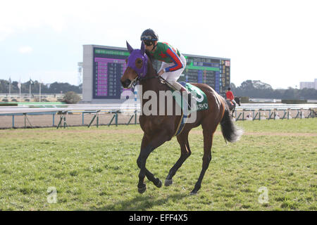 Kyoto, Japan. 1st Feb, 2015. Am Ball Bleiben (Ken Tanaka) Horse Racing : Am Ball Bleiben ridden by Ken Tanaka before the Silk Road Stakes at Kyoto Racecourse in Kyoto, Japan . © Eiichi Yamane/AFLO/Alamy Live News Stock Photo