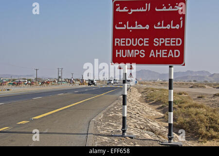 Road sign near camel crossing at Al-Malagit racetrack, Abu Dhabi, UAE Stock Photo