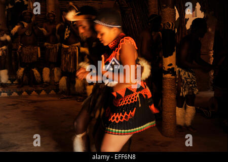 People, culture, adult man and woman dancers, traditional Zulu dance, Shakaland theme village, KwaZulu-Natal, South Africa Stock Photo