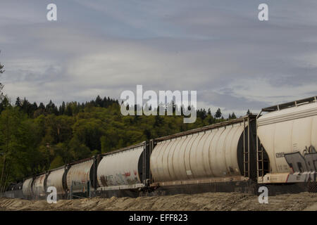 Freight train passing through mountain countryside of Canada with graffiti on the cars. Stock Photo