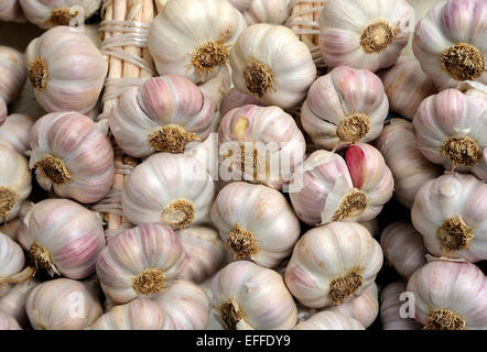 FRESH GARLIC FOR SALE IN A STREET MARKET Stock Photo