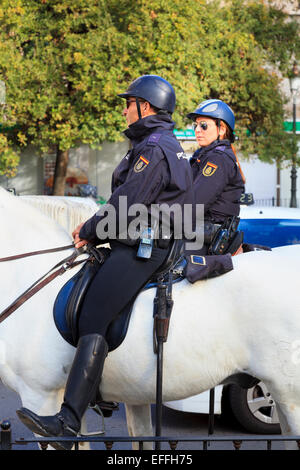 Two national mounted police officers on white horses in Valencia Spain Stock Photo