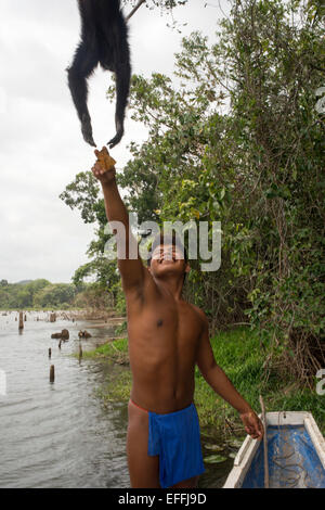 Spider monkey at Villagers of the Native Indian Embera Tribe, Embera Village, Panama. Panama Embera people Indian Village Indige Stock Photo