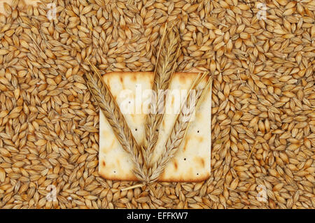 Ears of wheat on a biscuit surrounded by grains of wheat Stock Photo