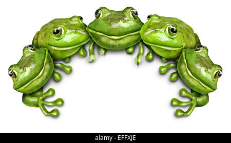 Frog group sign as a team of happy fun green amphibians sitting on the top of a white blank card background representing an advertisement concept promoted by wildlife. Stock Photo