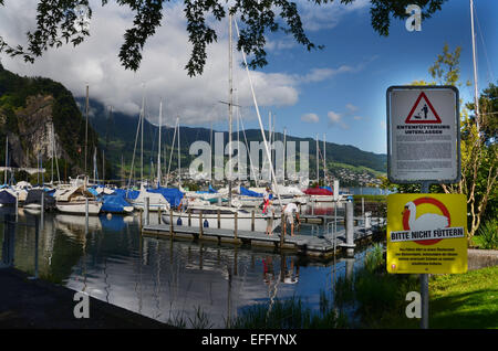 view of Stansstad Marina with Mount Pilatus and Hergiswil in the background Stock Photo