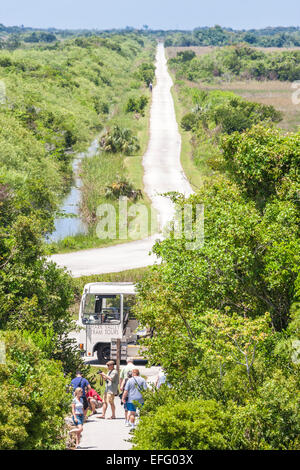 Shark Valley Tram Loop Road view from Shark Valley Everglades Visitors Observation Tower Everglades National Park Florida US Stock Photo