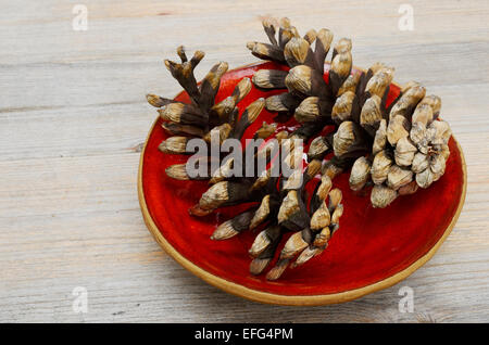 two pine cones on a red ceramic bowl Stock Photo