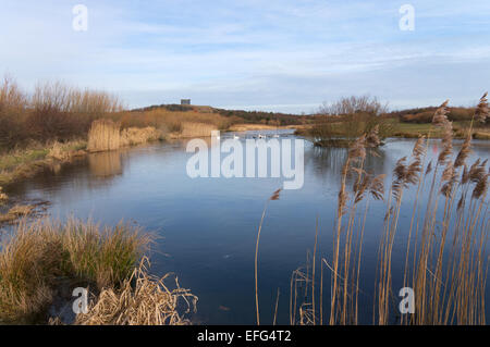 Scenic view over the fishing lake towards Penshaw Monument, Herrington Country Park, north east England, UK Stock Photo