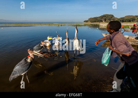 Local Boys Mending Fishing Nets, The Fish Market, Lake Hawassa, Hawassa,  Ethiopia, Stock Photo, Picture And Rights Managed Image. Pic. YB3-2356974