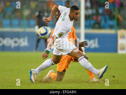 Equitorial Guinea. 01st Feb, 2015. African Cup of Nationsl football tournament. Quarterfinal match between Ivory Coast versus Algeria. Faouzi Ghoulam (ALG) Credit:  Action Plus Sports/Alamy Live News Stock Photo
