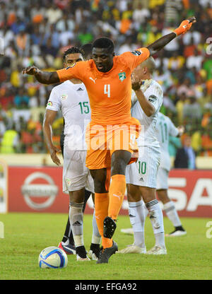 Equitorial Guinea. 01st Feb, 2015. African Cup of Nationsl football tournament. Quarterfinal match between Ivory Coast versus Algeria. Kolo Abib Toure (CIV) Credit:  Action Plus Sports/Alamy Live News Stock Photo