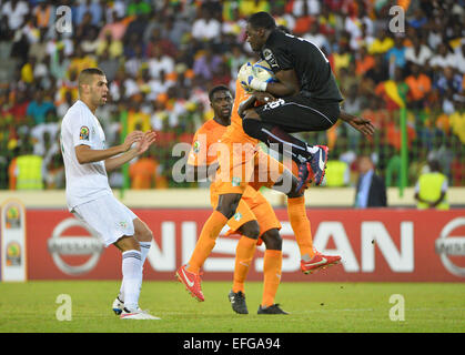 Equitorial Guinea. 01st Feb, 2015. African Cup of Nationsl football tournament. Quarterfinal match between Ivory Coast versus Algeria. Guelassiognon Sylvain Gbohouo (CIV) Credit:  Action Plus Sports/Alamy Live News Stock Photo