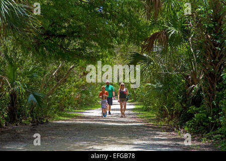 Family walking along a path in the Florida everglades, USA. Stock Photo