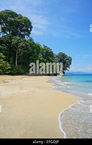 Pristine sandy beach in Costa Rica with lush tropical forest, Punta Uva, Puerto Viejo de Talamanca Stock Photo
