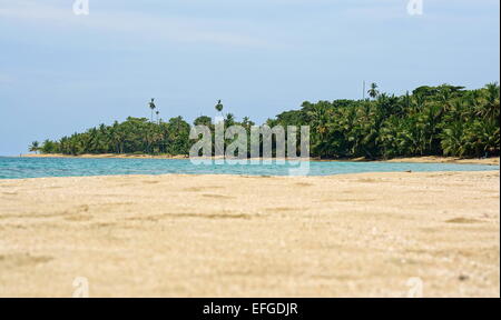 Beach sand in foreground and tropical shore with lush vegetation at the horizon, Caribbean, Costa Rica, Punta Uva, Puerto Viejo Stock Photo