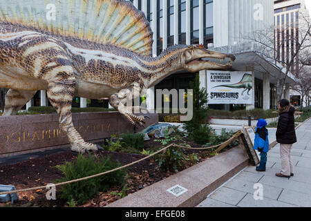 Spinosaurus sculpture in front of the National Geographic Society HQ - Washington, DC USA