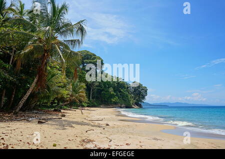 Caribbean beach with luxuriant tropical vegetation in Costa Rica, Punta Uva, Puerto Viejo de Talamanca, Central America Stock Photo