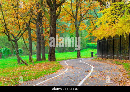 bicycle path in an empty yellow autumn park Stock Photo
