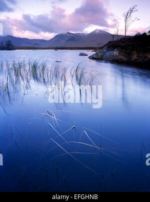 Soft dawn light across Lochan na h'Achlaise looking to Meall a Bhuiridh in the Blackmount, Lochaber, Scottish Highlands Stock Photo