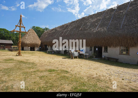 The Museum Bottarve with a roof of Great Fen-sedge (Cladium mariscus) on southern Gotland Stock Photo