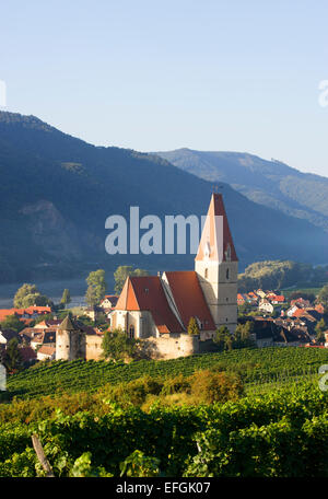Vineyards and a fortified church on the Danube, Weißenkirchen in der Wachau, Wachau, Lower Austria, Austria Stock Photo