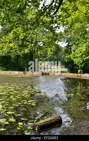 Keston Common ponds near Keston, Bromley, Kent, UK Stock Photo