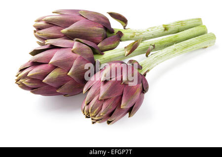 Globe artichokes on white background Stock Photo