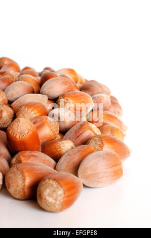 Fresh seasonal British cobnuts, hazelnuts in shell on white background Stock Photo